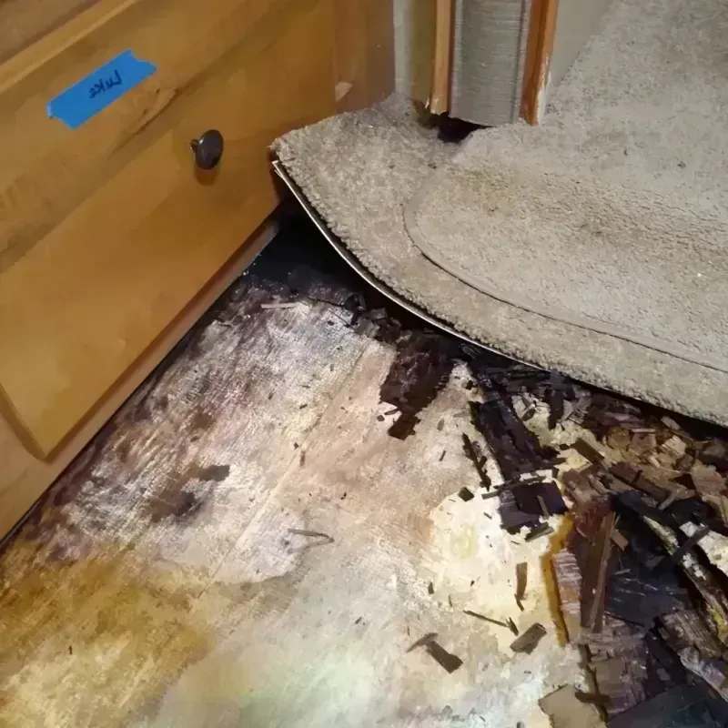 Best Wood Floor Water Damage Service in Coshocton, OH